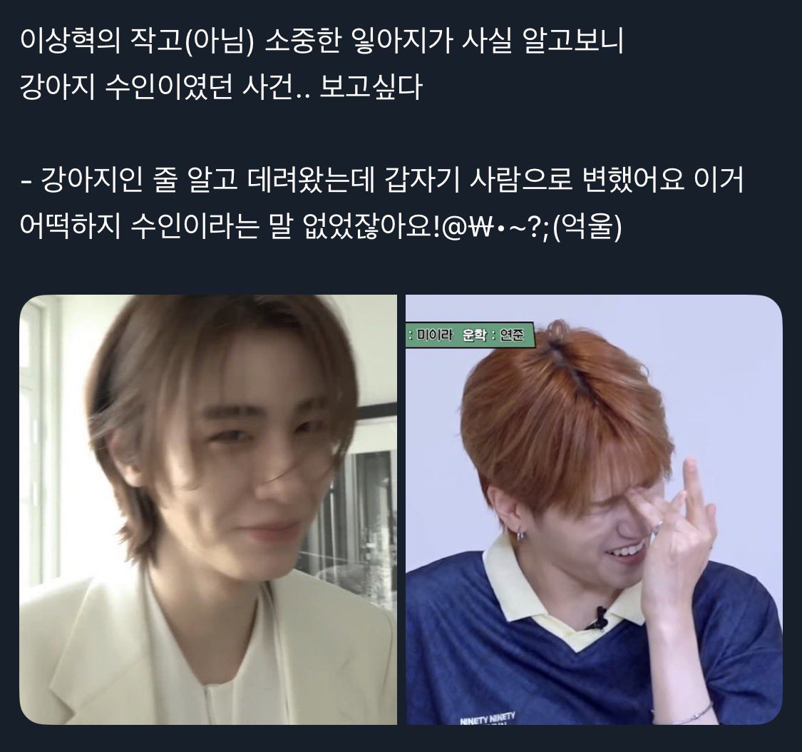 잏링
잏개와 링주인의 첫만남