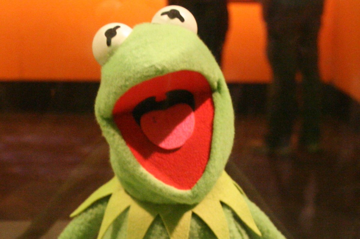 Krydal (🐸) tweet media