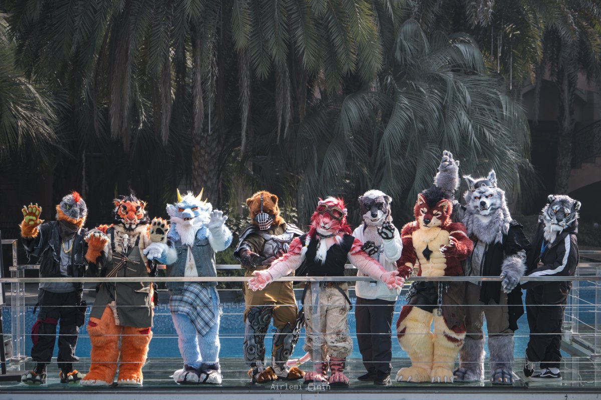 CardWolf tweet media