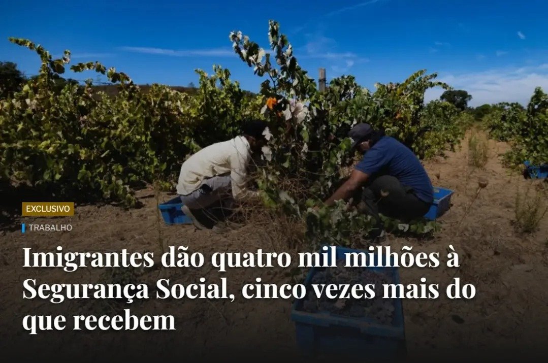 Joāo Sanfins 🇵🇹 tweet media