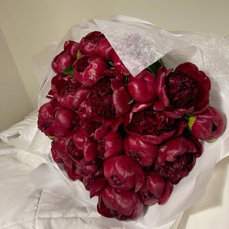 LAUKA DANU tweet media