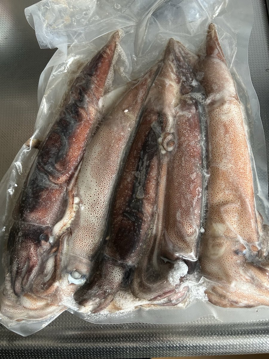 uzodYiJmPIn2M5l's tweet photo. 今朝も昨日と同じポイントへ🎣
19本釣れて、型のいい2本以外全てリリースしてきました🐟
来月あたりかなり大きくなって帰ってくるのを期待して😊
昨日配給したら、イカとニシンになって帰ってきました🦑
引きを堪能出来たので大満足です🎣
#道南 #サクラマス #DUO #CLABOR #ABU #ノーザンカスタム https://t.co/VrzbaT3Q5p