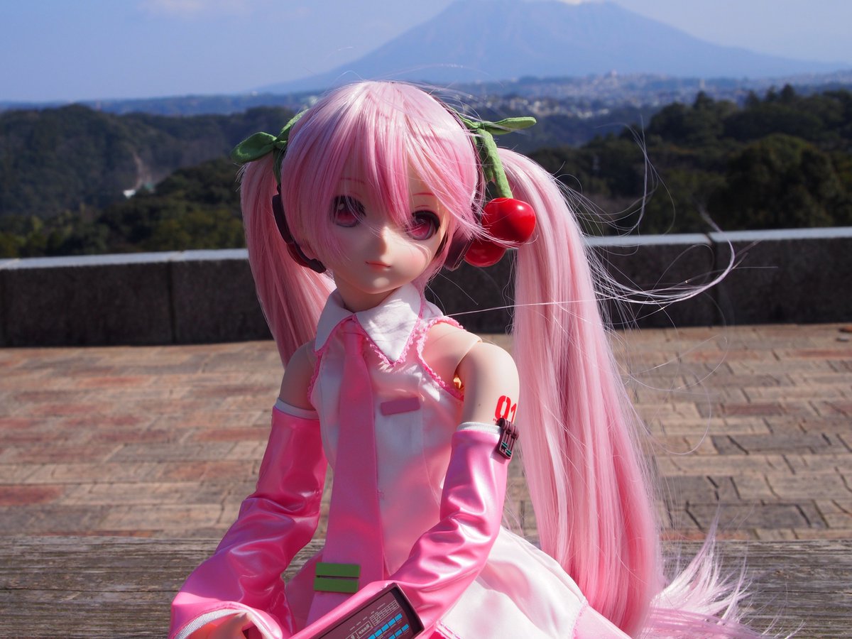 RT @mikuwan3901: 今日は桜ちゃんをお迎えして初のお出かけ 桜島の