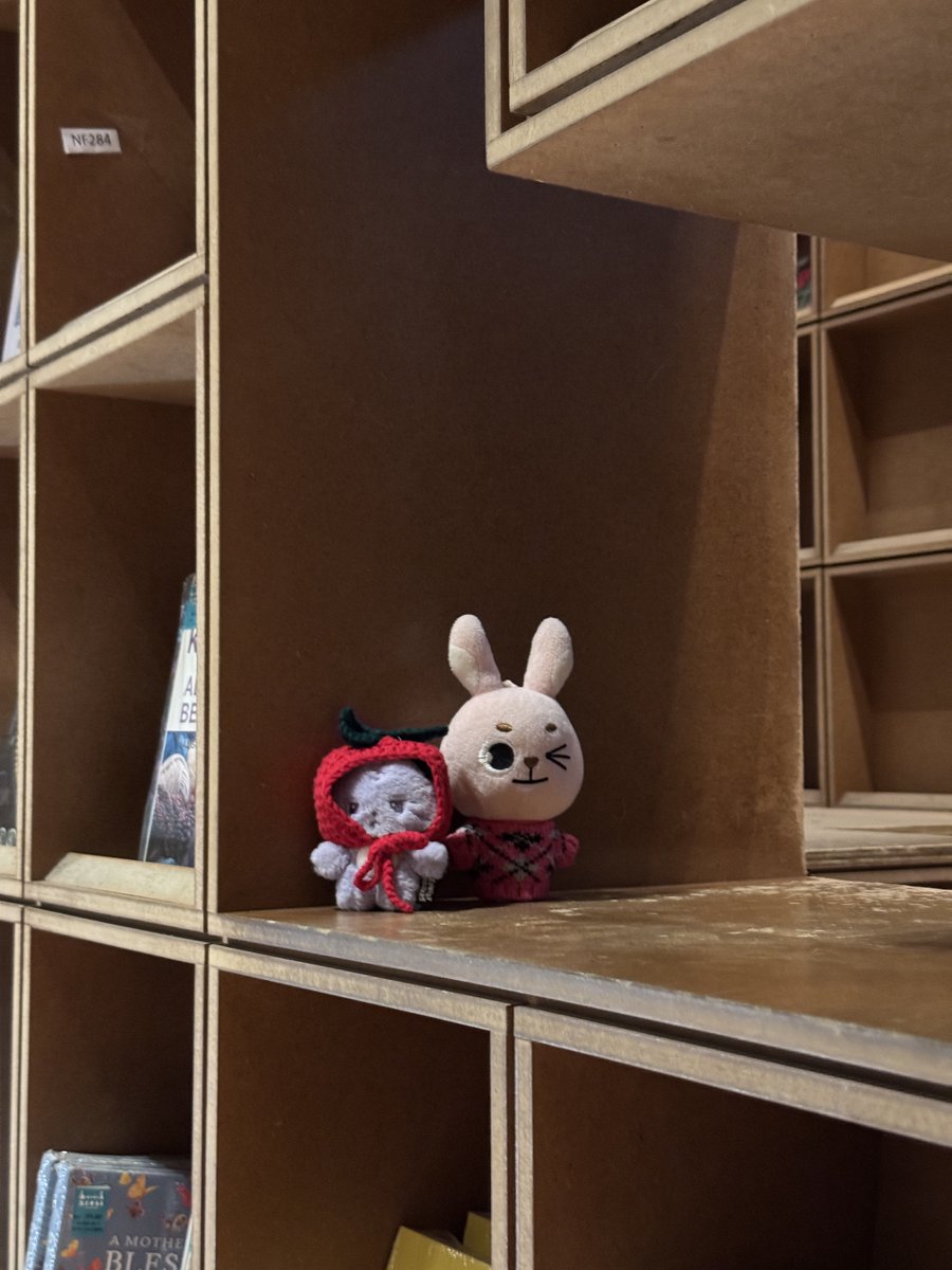 pau ʚ₍ᐢ. .ᐢ₎ɞ tweet media