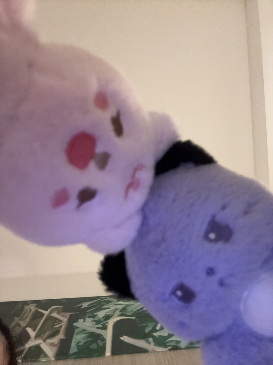 pau ʚ₍ᐢ. .ᐢ₎ɞ tweet media