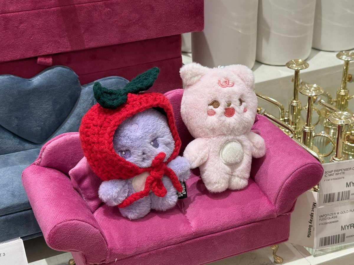 pau ʚ₍ᐢ. .ᐢ₎ɞ tweet media