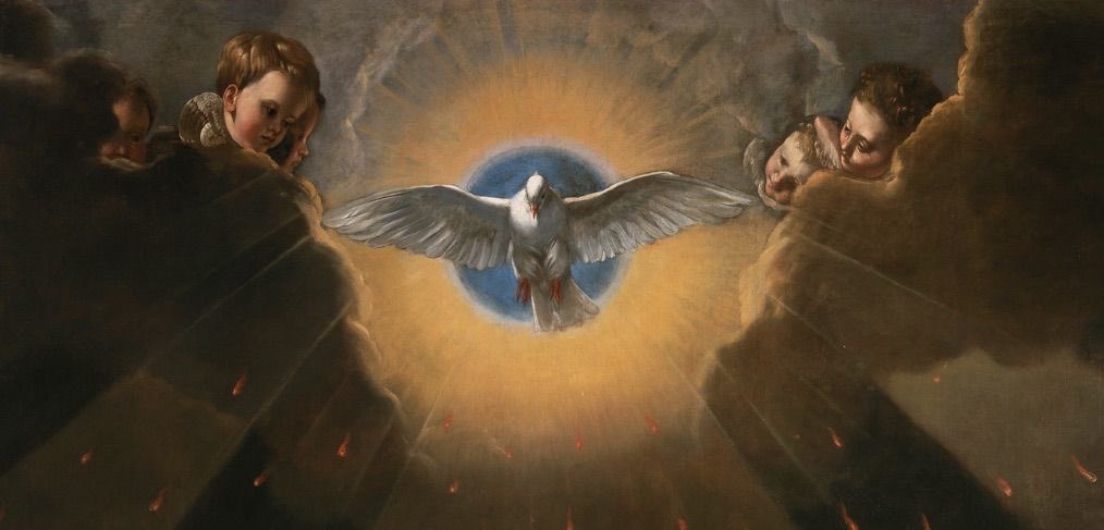 𝐂𝐚𝐭𝐨𝐥𝐢𝐜𝐚 † tweet media