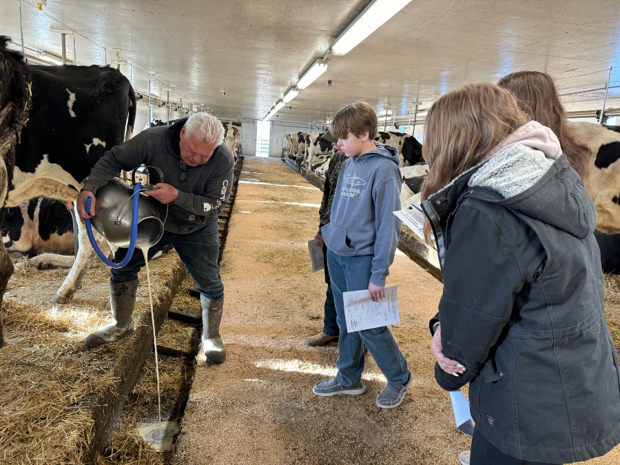 NationalFFA's tweet image. Glencoe-Silver Lake FFA shares Program of Activities ideas that bring members and neighbors together. #FFA #NewHorizons

🔗 ffa.pub/3LTEKNi