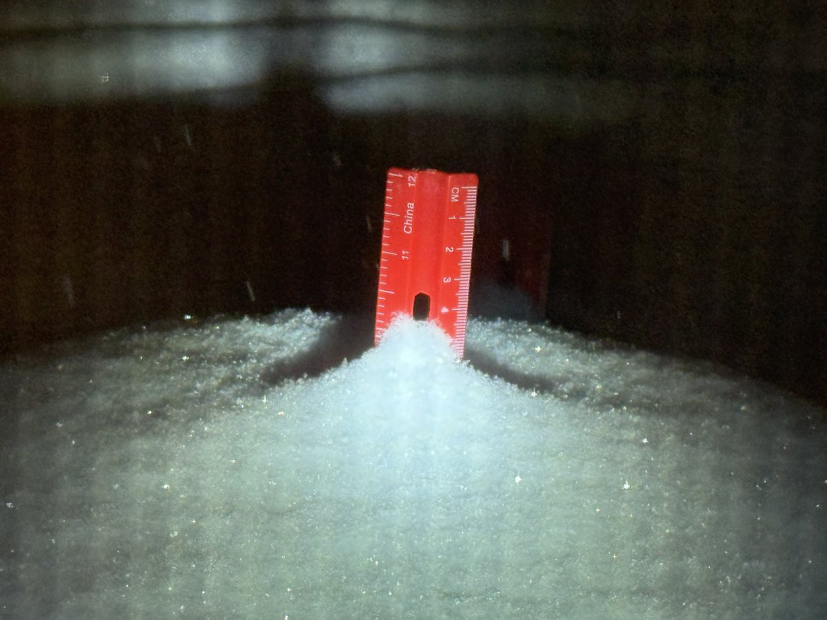 Fiester 🇨🇺 tweet media