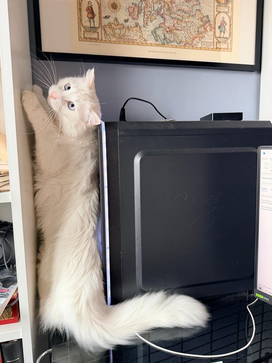 Manuel Gago tweet media