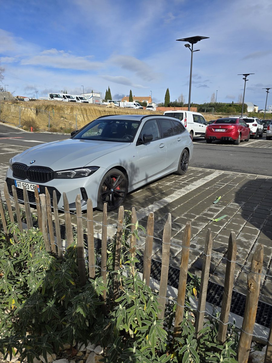 Chansar Mest tweet media