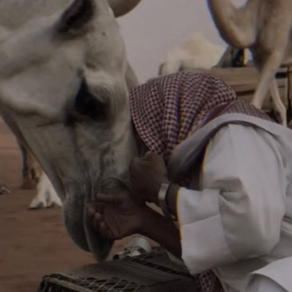 𝔸𝟟 tweet media