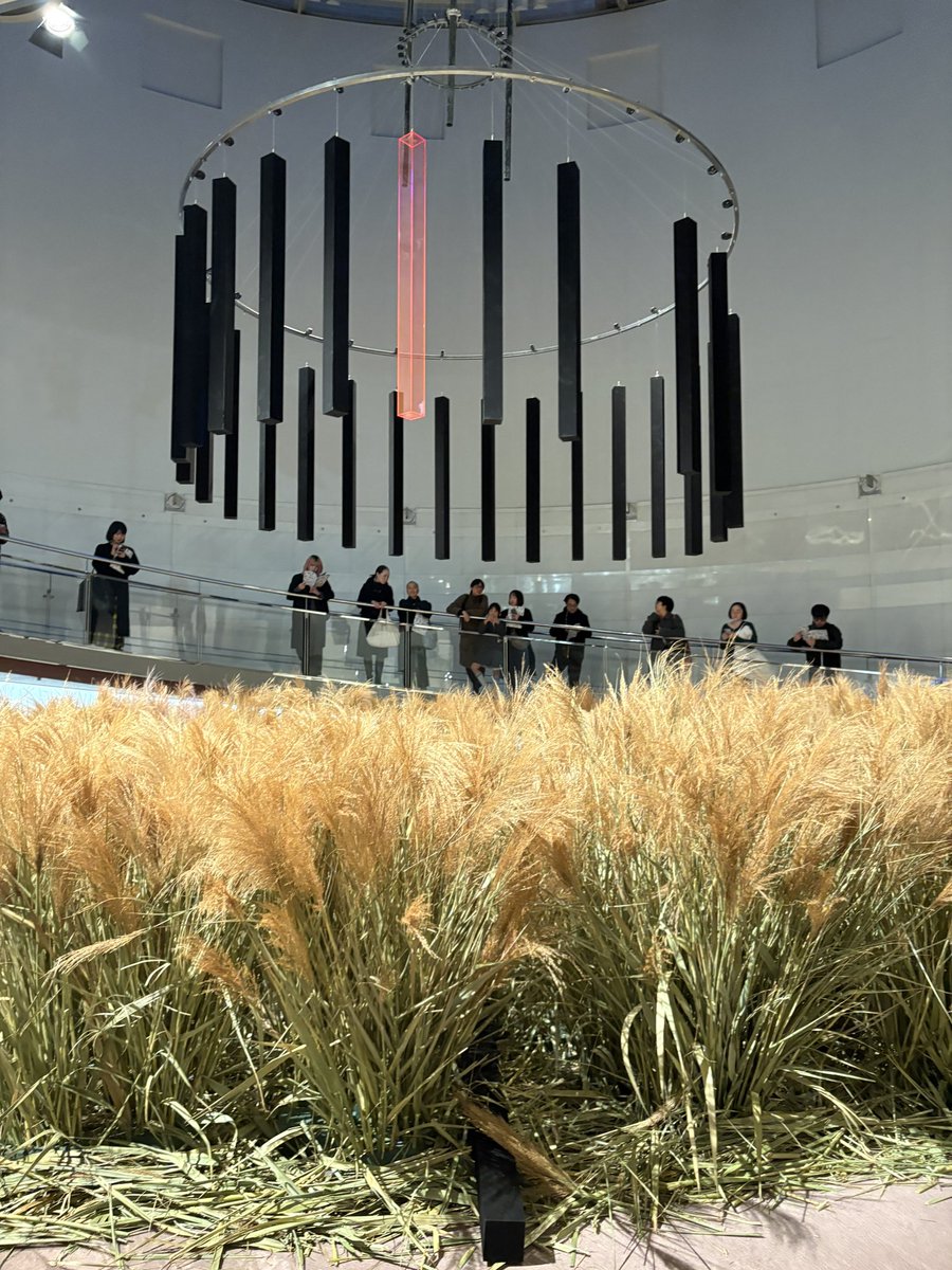 今日は仕事終わりにスパイラルで行われてた量子芸術祭へ。
道すがら一緒にいた人と話していた話とも繋がる部分があり、良き時間を過ごせた。