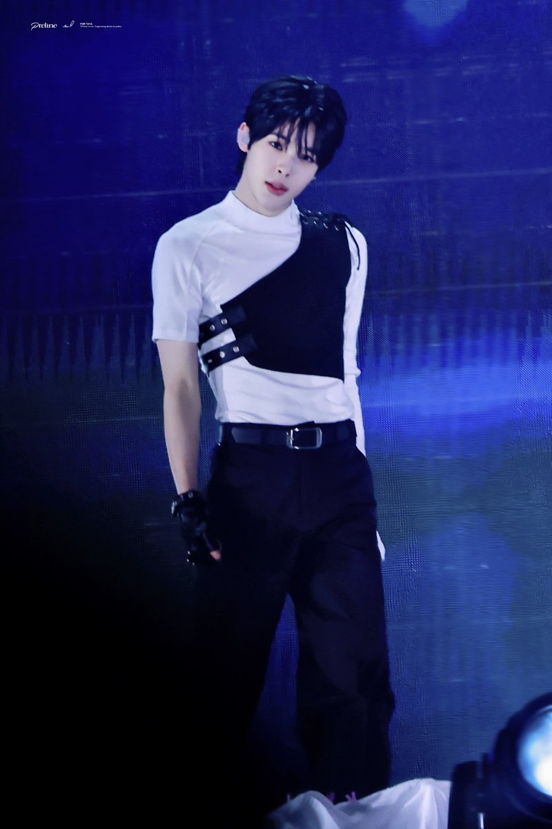 Preline. tweet media