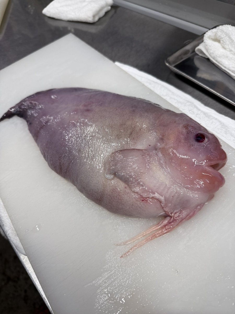 SHI-TAKA Akashic Records@感度3000倍 (@takashi8092) / Posts / X