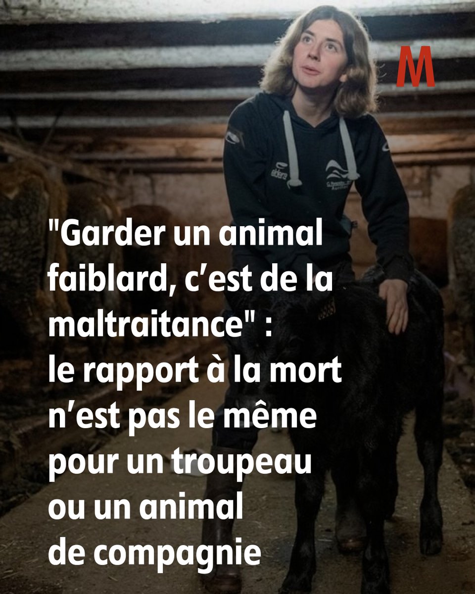 La Montagne tweet media