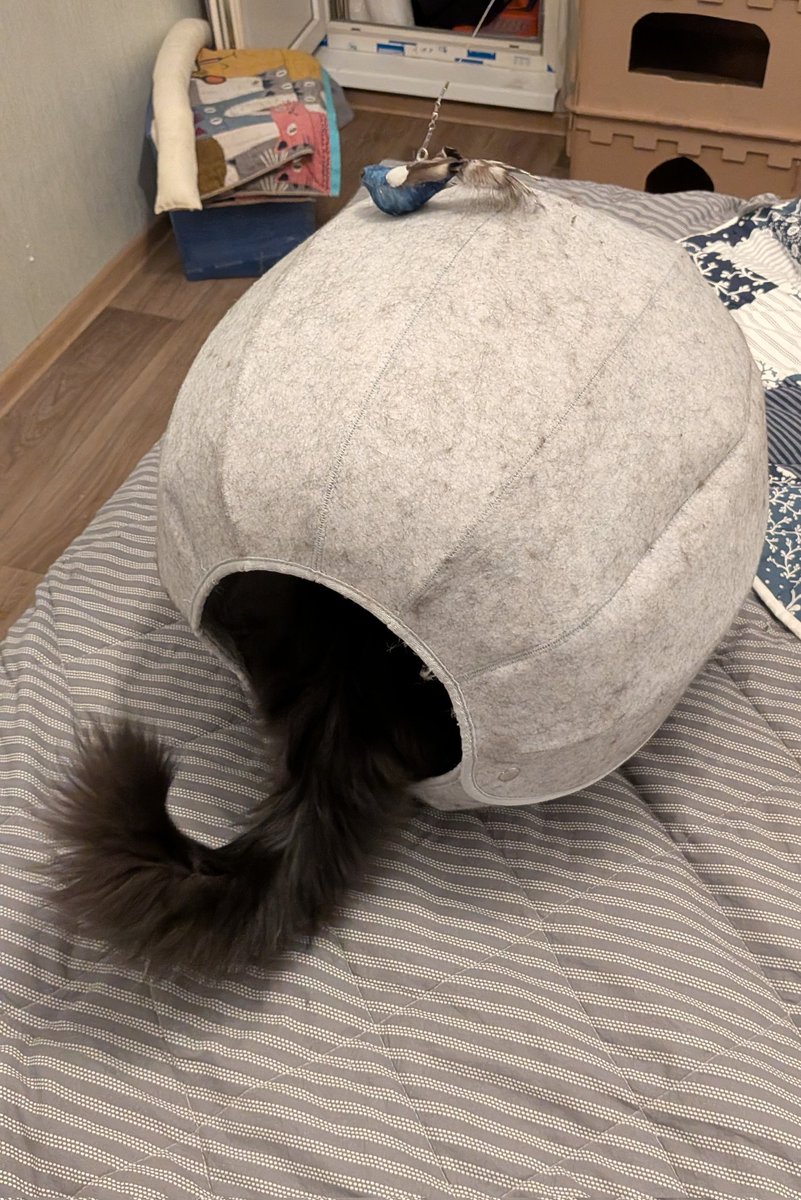 Половинка луны, меховые сыны tweet media