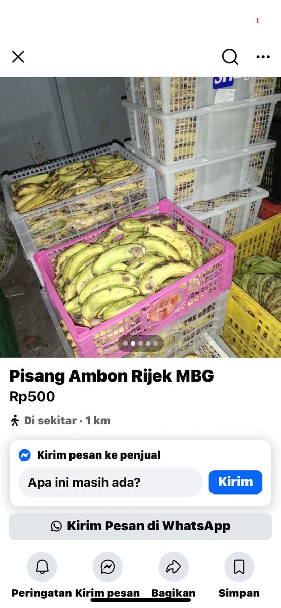 mas rezha tweet media