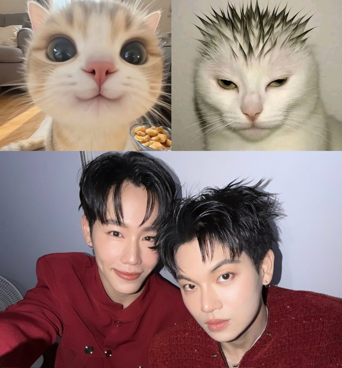 𝘶𝘬𝘪 (จ่าสิบเอกยูกิ) tweet media