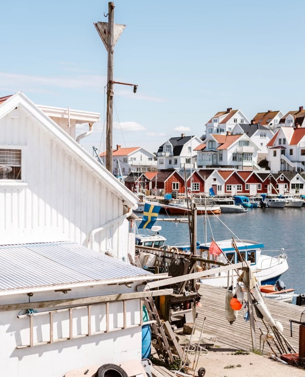 Scandinavian Aesthetics tweet media