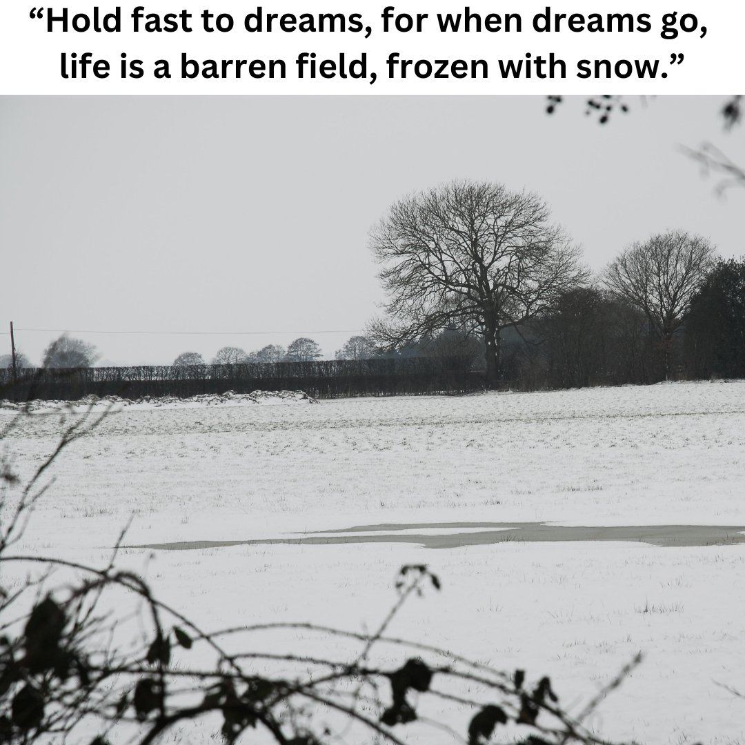 Meditational State tweet media