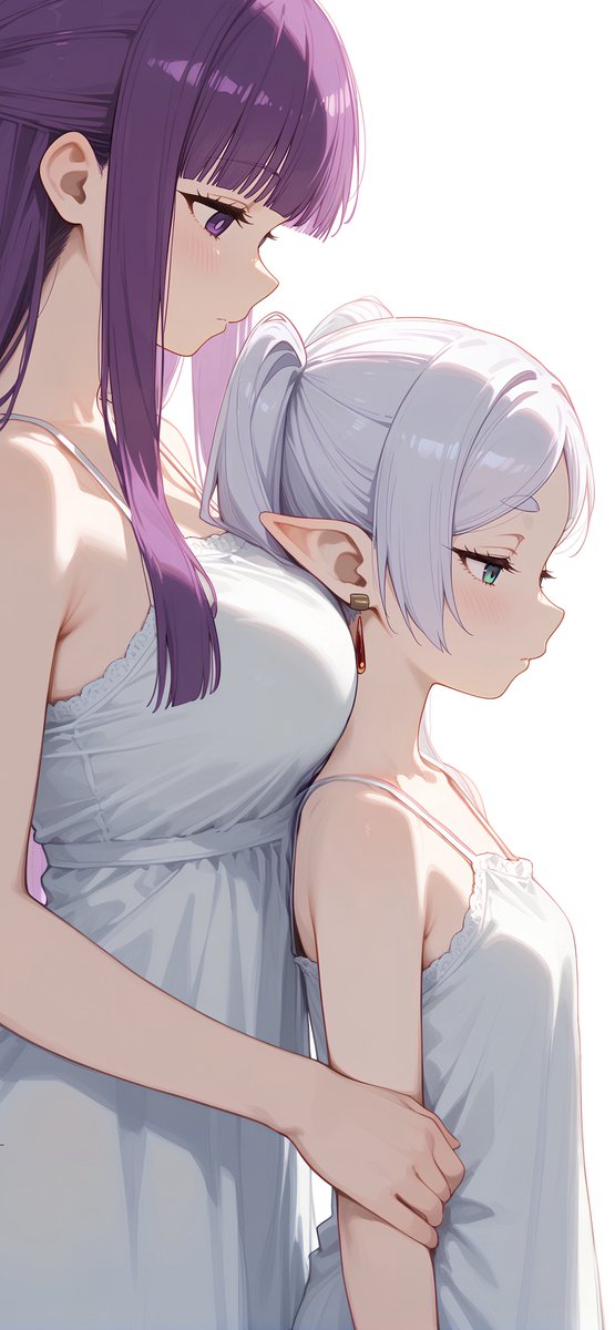 Frieren × Fern
#frieren #葬送のフリーレン 
SFW illustration