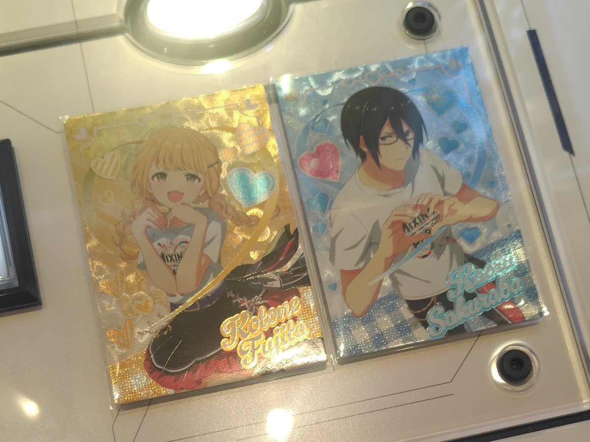 本日の収穫
これで第4弾で欲しかったカードは一通り引けたので、一旦満足です…😌✨