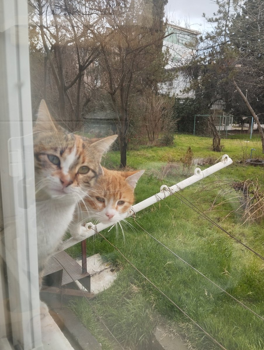 Bu ikili her gün aynı pozisyonda, aynı hayalleri kuruyor. #pazar