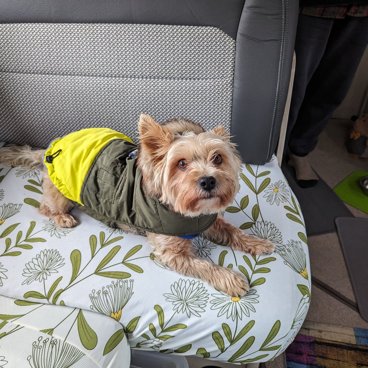 Rosiesmum tweet media