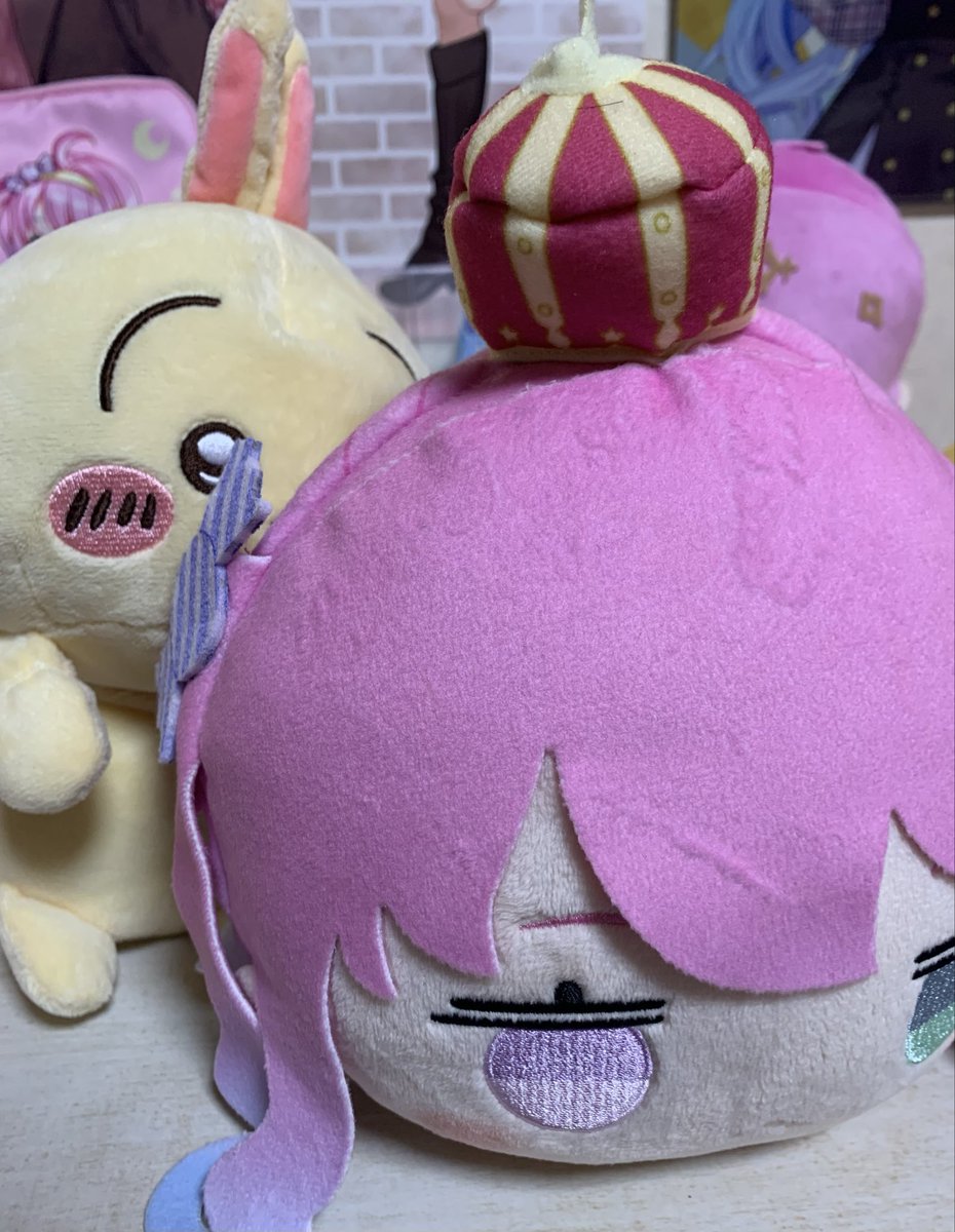 実は姫様に影響されてうさぎの姿勢がなおるぬいぐるみみたいなの買っ