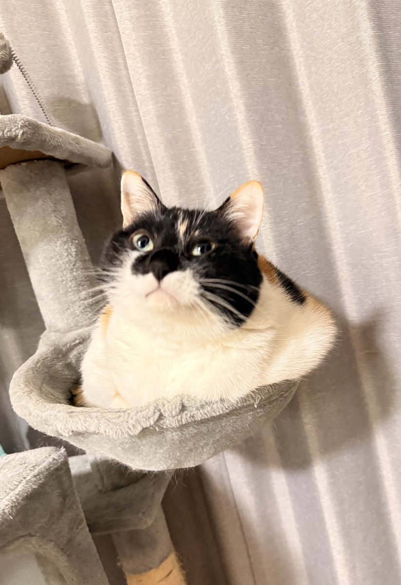 雷十太先生 (@asjSvnCZl18wKXM) / Posts / X