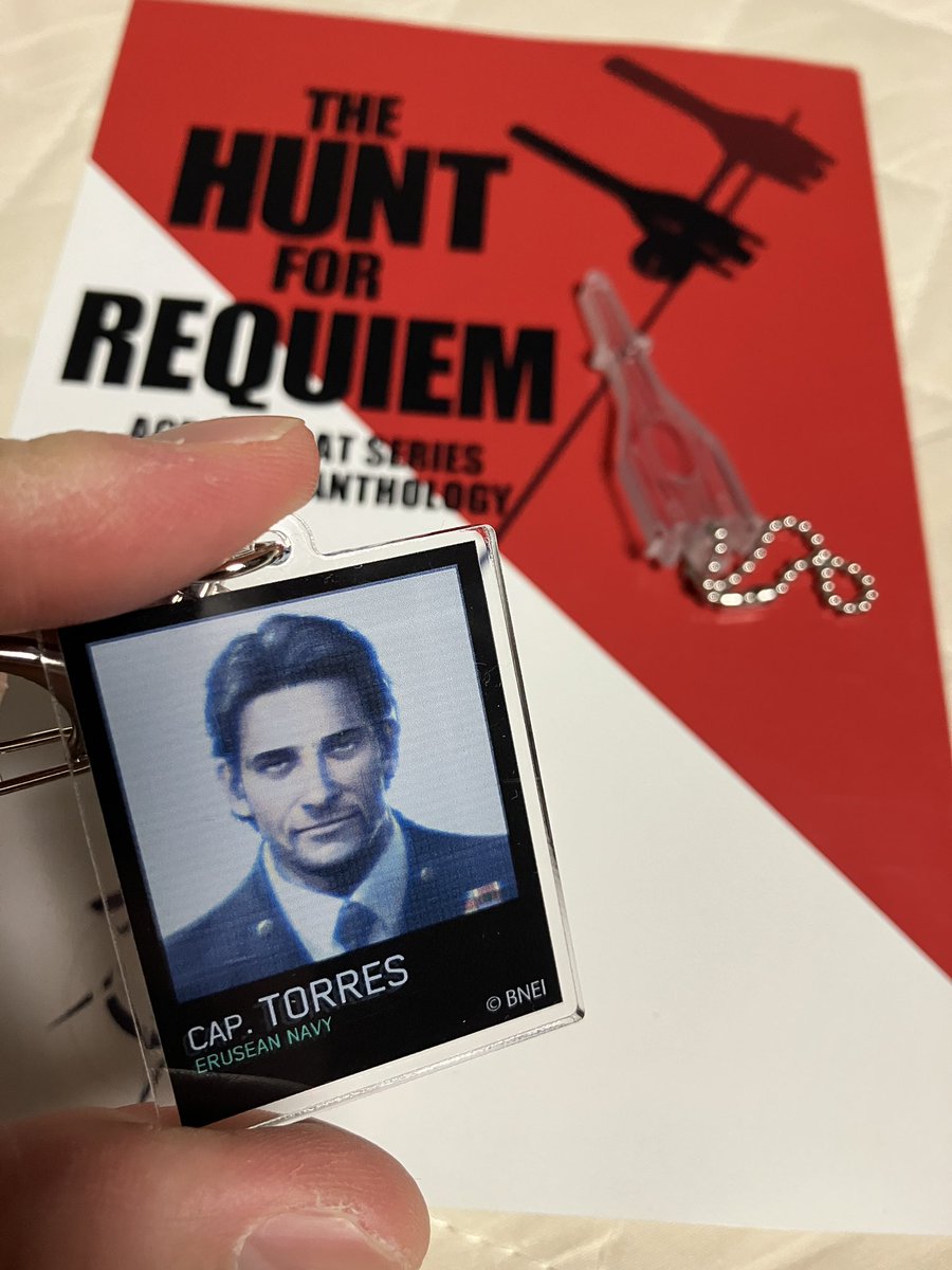 艦長、アリコーンアクキーと鎮魂同人誌だよ…