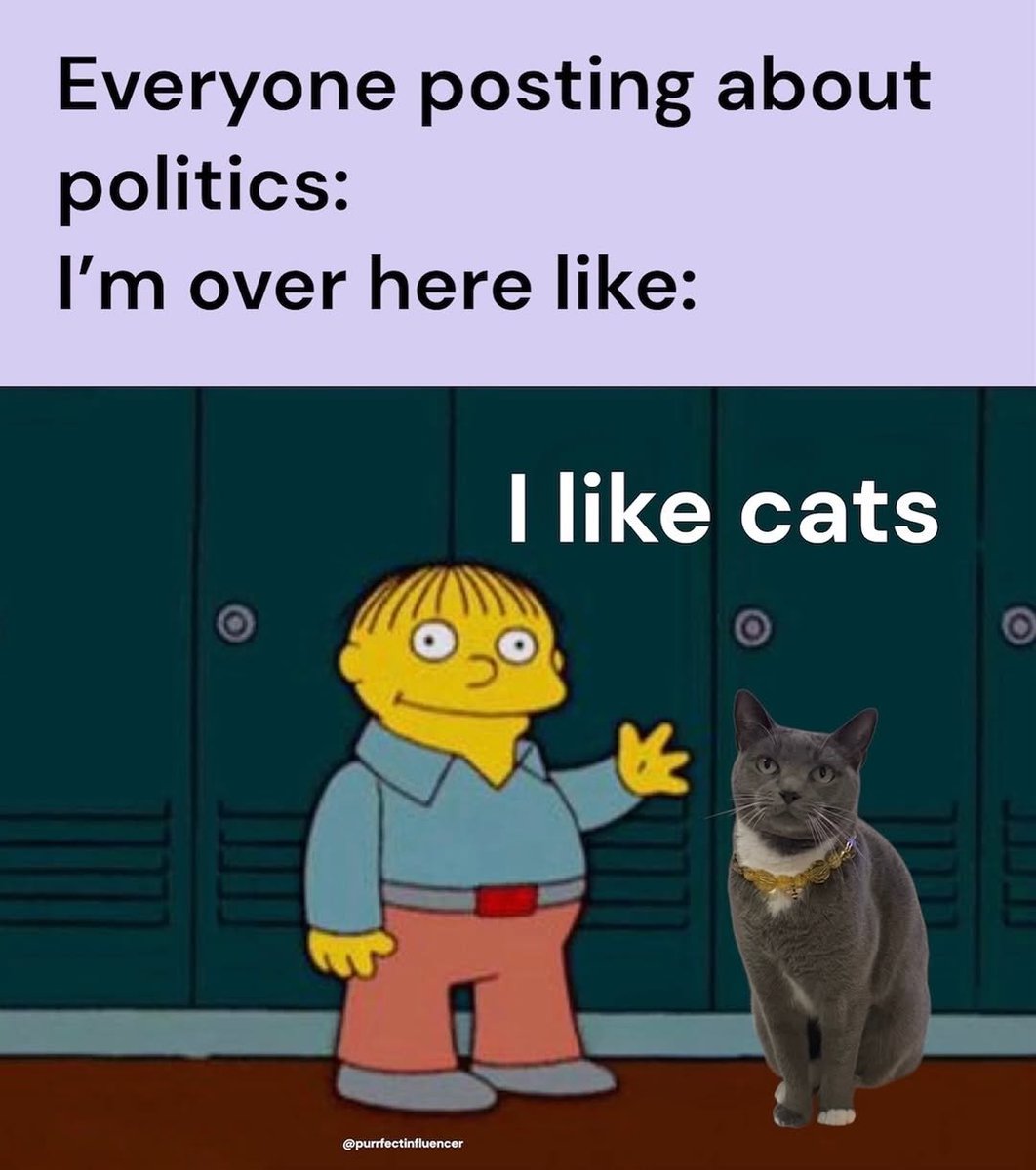 We don't deserve cats 😺 (@catsareblessing) on Twitter photo 