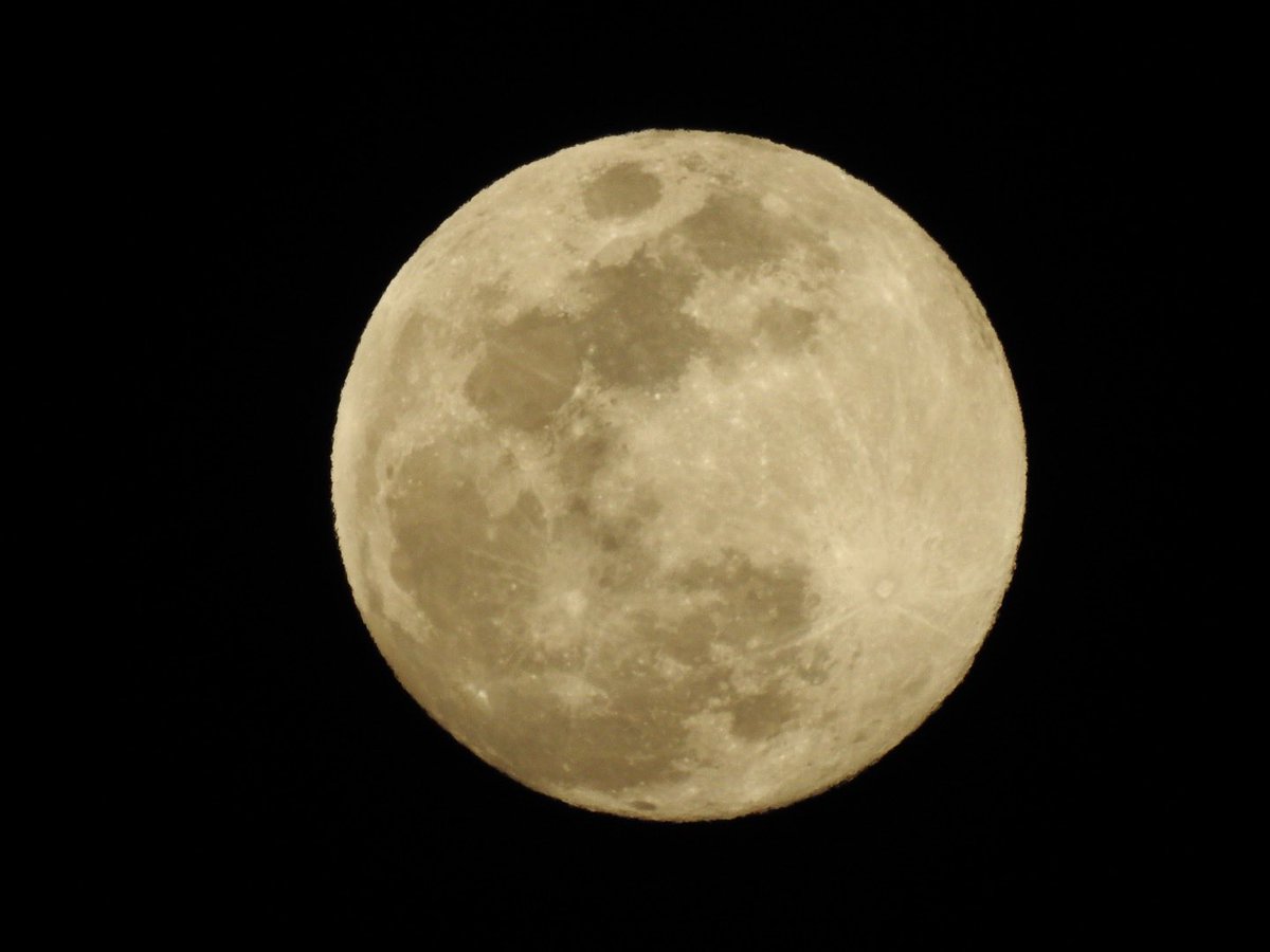 major_arcana7's tweet image. A night with a beautiful moon🌕
(2月1日🌕99.7%月齢13.3)

明日は満月(Snow moon)だそうです☘︎☘︎

2月も皆様にとって
素敵なことが月となりますように☙☙☙

#photographer
#Moon's expression
#Wish to the moon