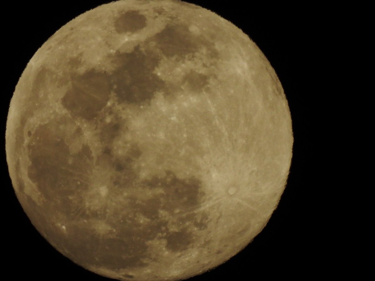 major_arcana7's tweet image. A night with a beautiful moon🌕
(2月1日🌕99.7%月齢13.3)

明日は満月(Snow moon)だそうです☘︎☘︎

2月も皆様にとって
素敵なことが月となりますように☙☙☙

#photographer
#Moon's expression
#Wish to the moon