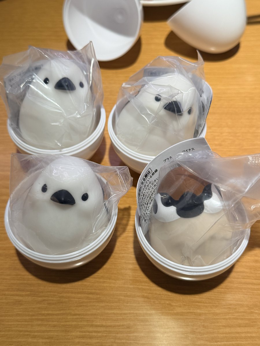 みかん🤍 tweet media