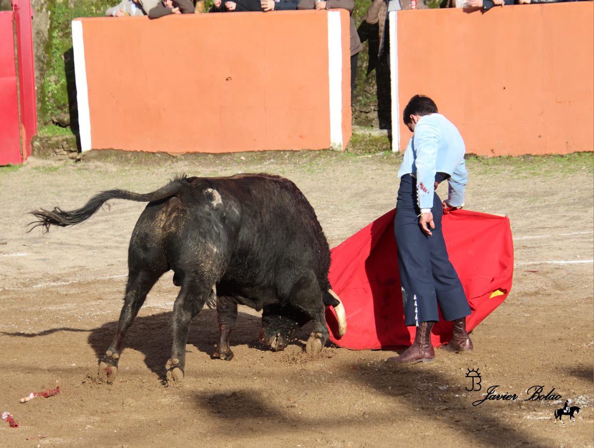 Empezamos la temporada del 2026 en el Festival de Valero (Salamanca) con <a href="/IsmaelMartinM/">Ismael Martín</a>. -OradorN:21G2 2 👂 
-OradorN:23G2 2 👂 y vuelta al ruedo