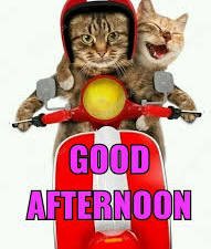 SamWeilenmann's tweet photo. @SumbulMyLight #Anviiiiiiii
#IttiSiKhushi 
#SumbulAsAnvita 
#SumbulSquad
#SumbulTouqeerKhan
enjoy your free day sweetheart 🫶🧿🇾🇪 https://t.co/VAHUzpD46s