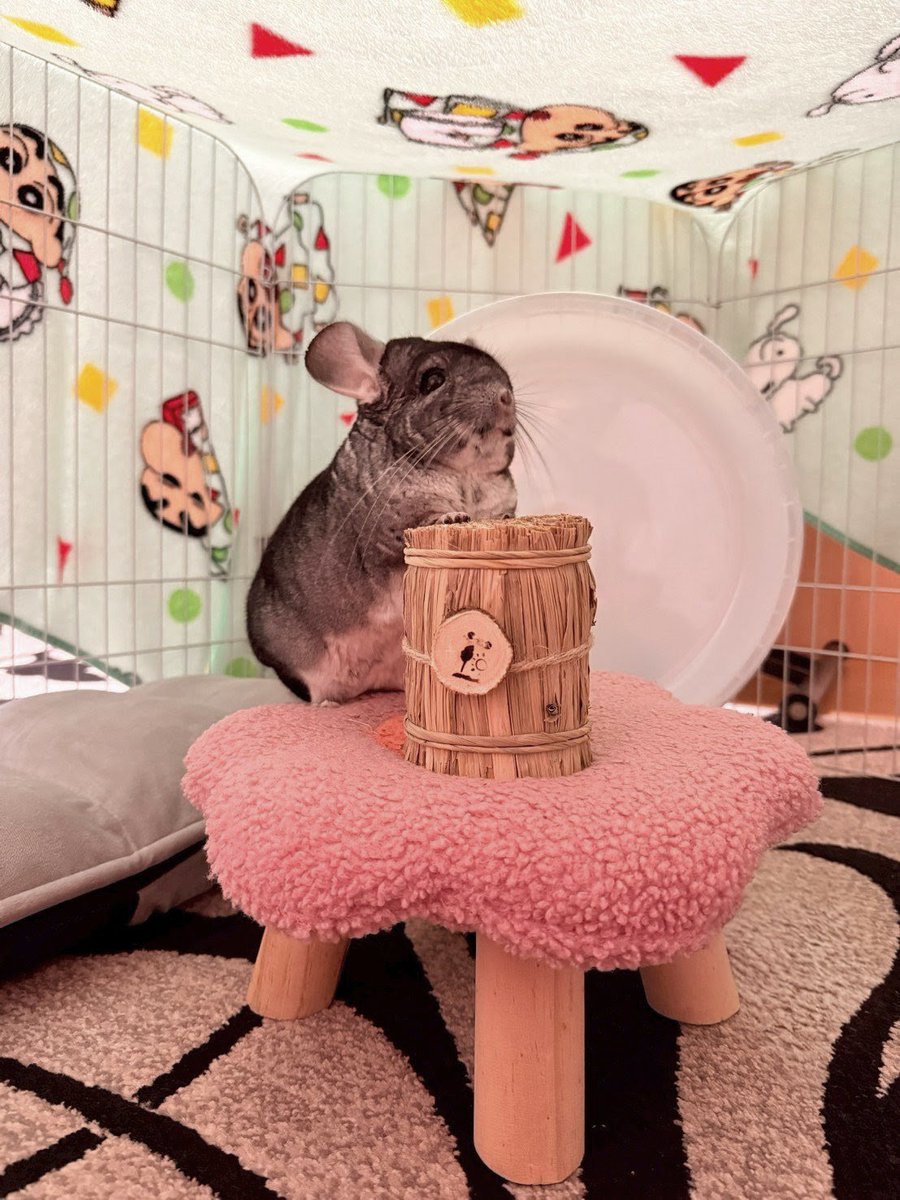 クマじいさん (@3UX7LKEdlvRVTTK) / Posts / X