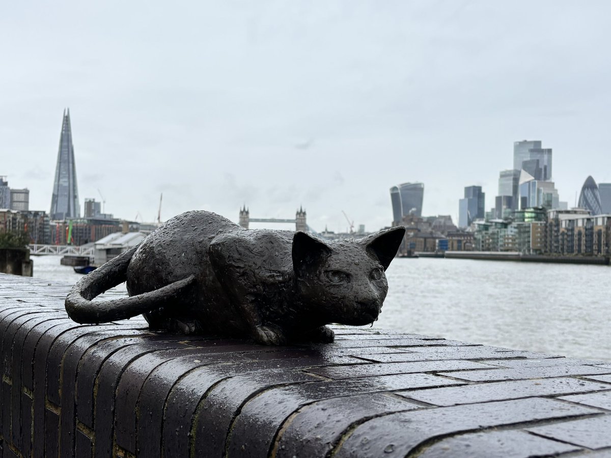 Lily Maynard tweet media