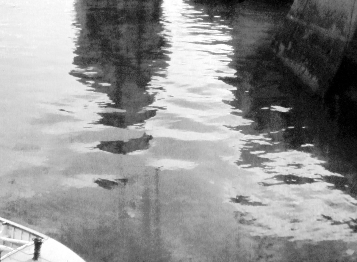 Details from scanned negatives, slides and photos - photographers unknown.
#vintage #photography