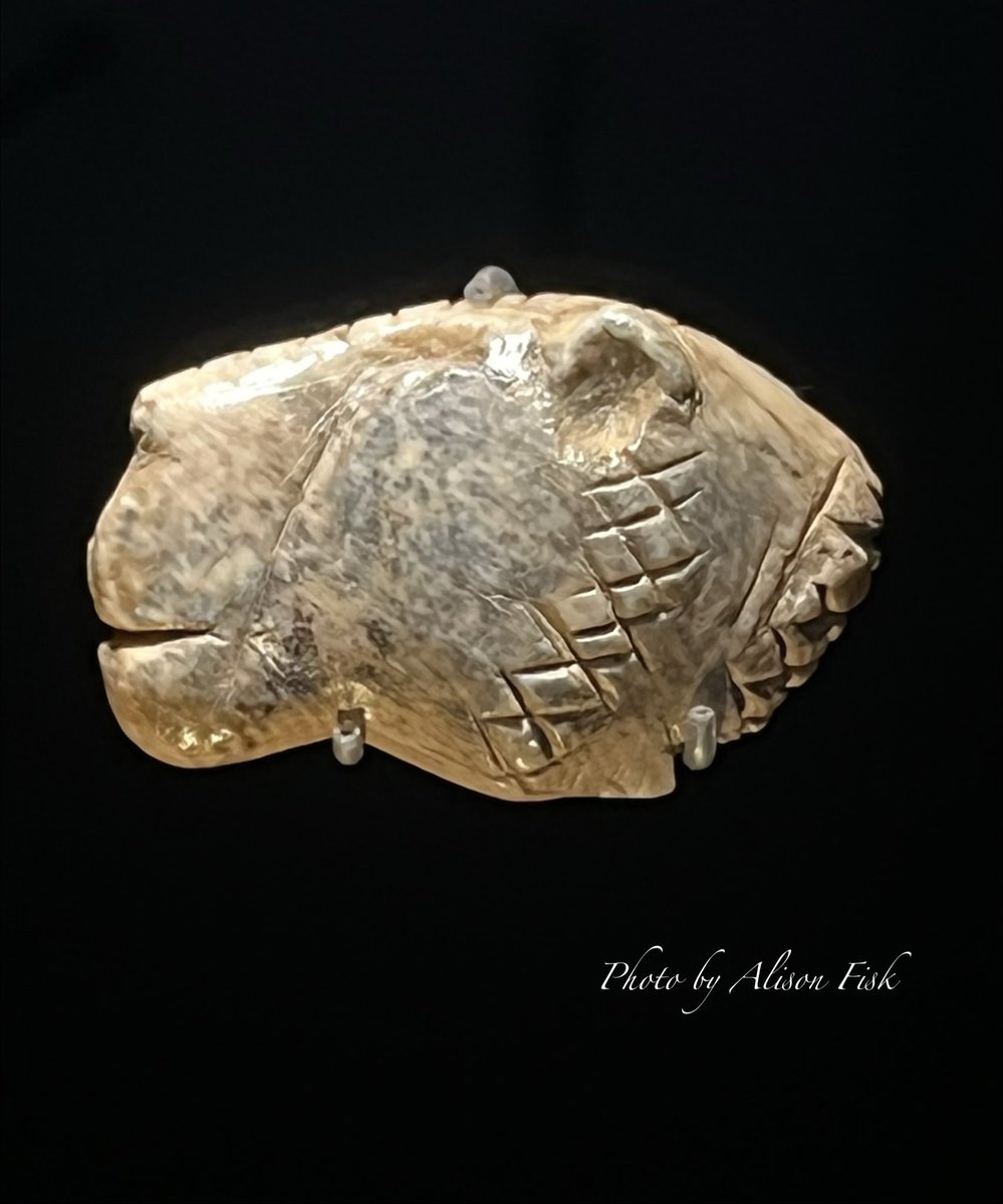 Wonderful Ice Age art!

Some 40,000 years ago, this tiny head of a cave lion was skilfully sculpted from mammoth ivory. It is one of the oldest known works of figurative art!

📷 by me

#Archaeology