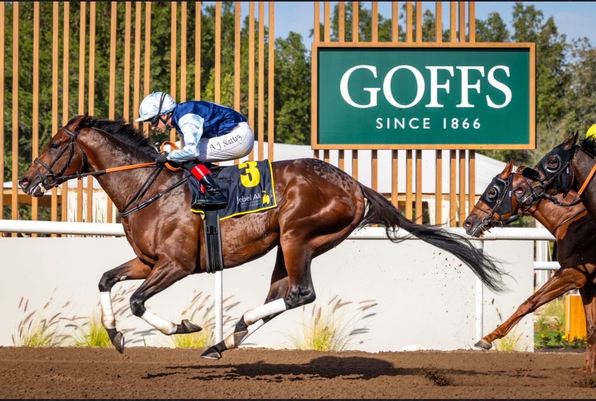 Meadowview Stables tweet media