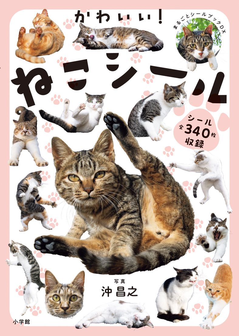 【新刊のお知らせ】まるごとシールブックDX  かわいい!ねこシールが2月17日に発売です。

かわいい!ねこのシールが誕生!16シートに大容量の340枚のシールを収録しました。
（ねこのシールは270枚）

ねこちゃん好きな方とのシール交換やプレゼントに。
もちろん自分用もＯＫ！