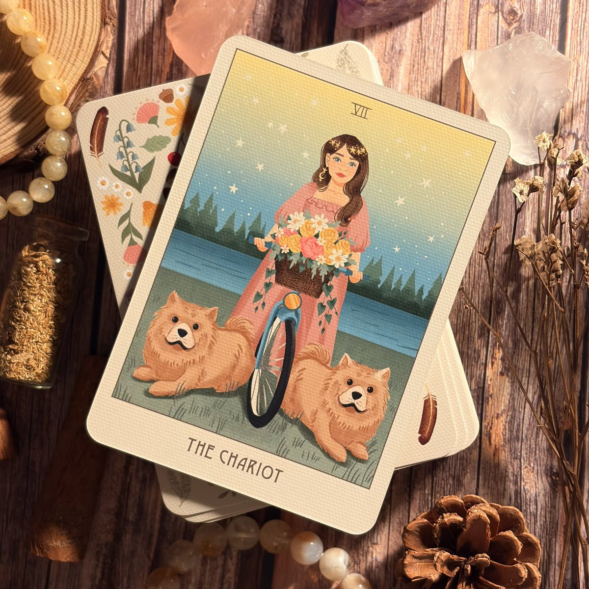 📍สิ่งที่เราควรรู้ประจำวันที่ 02.02.2026 ตามวันเกิด 🔮✨

• Sun. - มีคนเข้าหา หรือมีคนเข้ามาสนใจ แต่มีแนวโน้มว่าจะยังไม่ได้เป็นคนที่ตรงสเปค เราเลยอยากหลีกเลี่ยงมากกว่า แถมยังแอบเซ็งที่ความรักไม่ตรงใจ 

• Mon. -