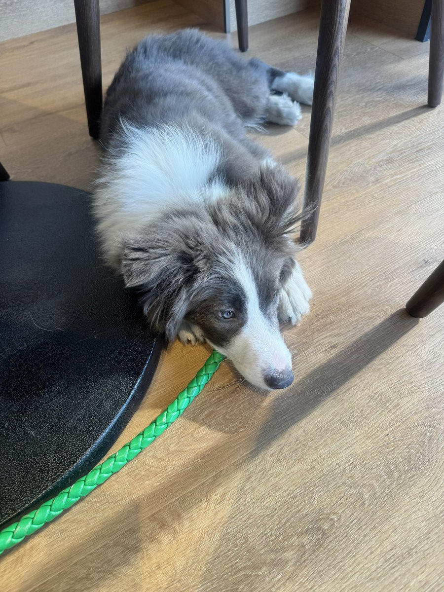 VAULTROOM (@room_vault) / Posts / X