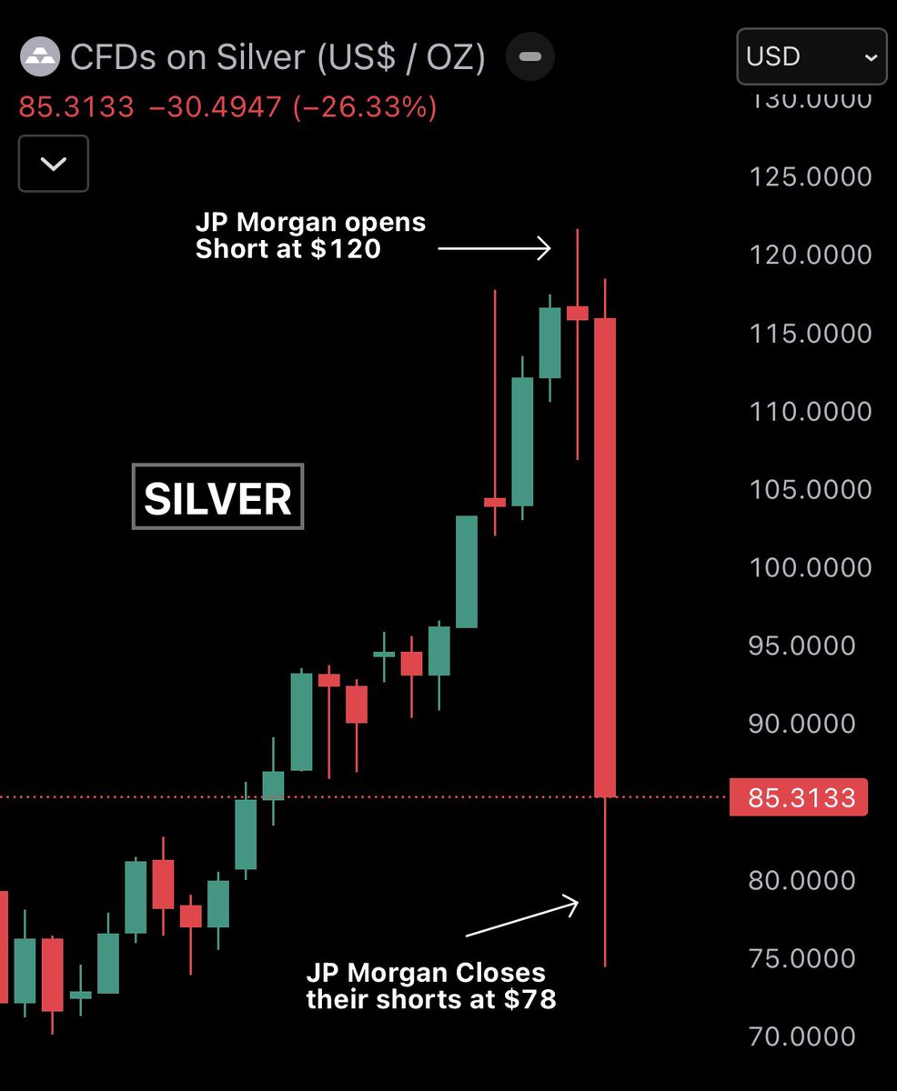 Bull Theory tweet media