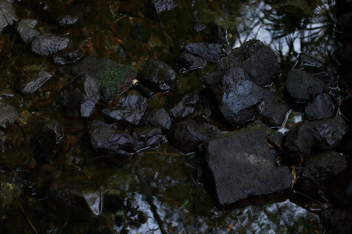 nyachimog's tweet photo. 引き続き、EOS-1D 初代でスナップです😊
#写真好きな人と繋がりたい #ファインダー越しの私の世界 #キリトリセカイ #スナップ #お写ん歩 #snap #snapphoto #キヤノン #canon #eos1d #eos1d初代 #ef50mmf18stm https://t.co/J6svZdE0r8