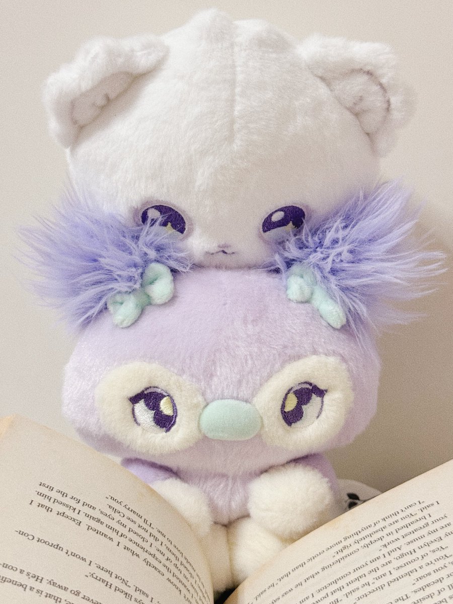 500woni's tweet photo. 언니 뭐해? 📖🐻‍❄️🐨🤍 https://t.co/kqFFOkAwG8