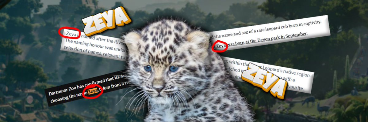 melxprt's tweet photo. Okay, this is actually probably the closest we've ever had to a new Moodeng 

Zeya, is a rare leopard cub that was born not long ago

She has just made her first public appearance and people are going CRAZY over her 

News pages are posting about it like crazy aswell

This is the same vibes of an animal when Moodeng was first born, this can literally go to millions

News: 

https://t.co/0zfleMUO3R

https://t.co/LExq01FKCL